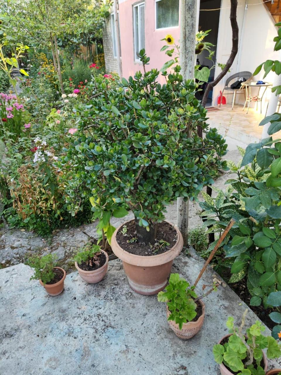 Chveni Ezo Ambrolauri Exterior foto