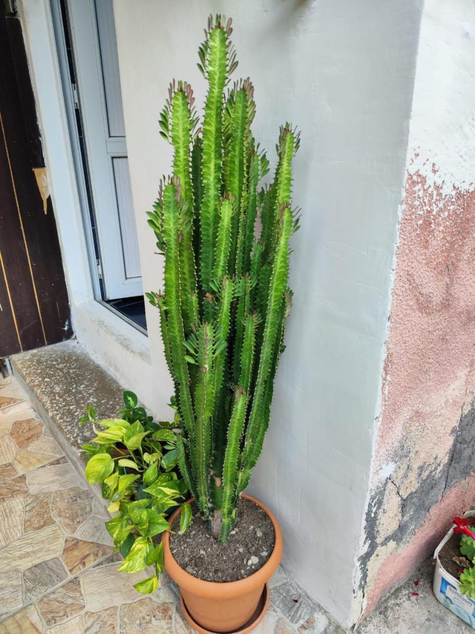 Chveni Ezo Ambrolauri Exterior foto